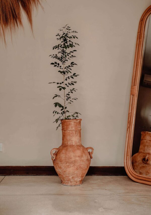 ALPHA VASE